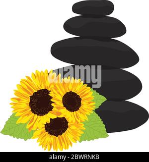 Sonnenblumen vor Zen-Kieselsteinen Stock Vektor