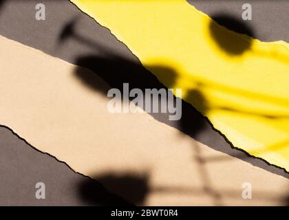 Abstraktes Papier Hintergrund Mockup mit floralen Schatten Overlays Ansicht flach legen. Minimale Zusammensetzung. Hintergrund in Braun- und Gelbtönen. Stockfoto