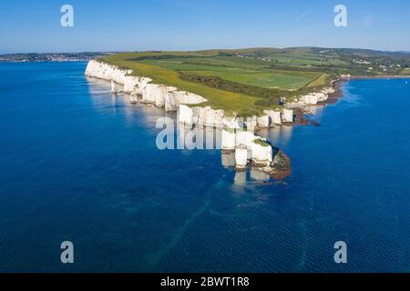 Chalk Cliffs Old Harry Rocks Isle of Purbeck in Dorset, Südengland. Stockfoto