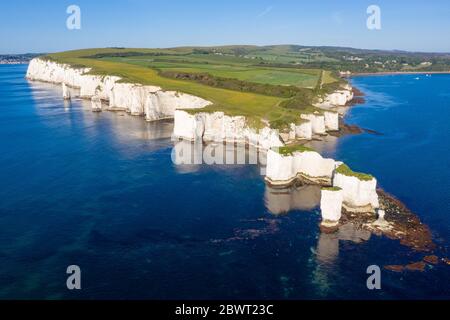 Chalk Cliffs Old Harry Rocks Isle of Purbeck in Dorset, Südengland. Stockfoto