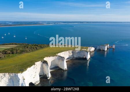 Chalk Cliffs Old Harry Rocks Isle of Purbeck in Dorset, Südengland. Stockfoto