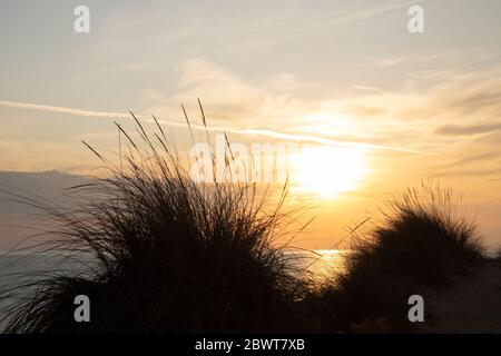 Wir sind in Apulien in Süditalien an der salentinischen Küste, zwischen zwei Sonnenbüschen in den goldenen Stundenfarben der Himmel orange gesehen. Stockfoto