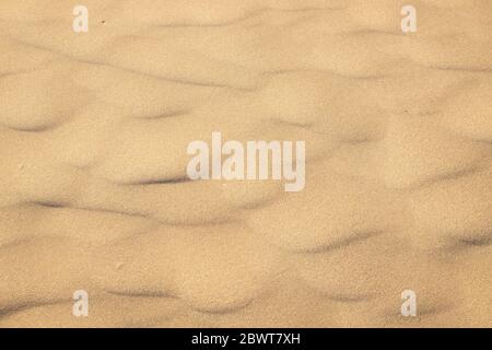 Detail auf dem goldenen Sand des Strands im Süden Italiens, besonders die Textur, die durch den Wind erzeugt wird. Stockfoto