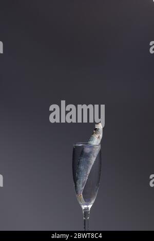 Sardine ist ein Fisch, der leicht in Fischhändlern gefunden wird, ist es in der Regel im Mittelmeer gefischt und ist in der mediterranen Ernährung, gesund Stockfoto