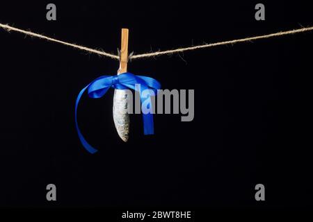 Sardine ist ein Fisch, der leicht in Fischhändlern gefunden wird, ist es in der Regel im Mittelmeer gefischt und ist in der mediterranen Ernährung, gesund Stockfoto