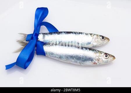 Sardine ist ein Fisch, der leicht in Fischhändlern gefunden wird, ist es in der Regel im Mittelmeer gefischt und ist in der mediterranen Ernährung, gesund Stockfoto