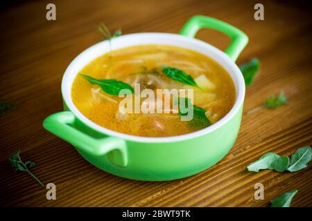 Frühlingssuppe mit Vermicelli, Gemüse und Kräutern Stockfoto