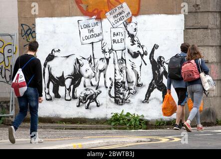 Ein neues Stück Street Art des Rebellen Bären ist an einer Wand in Leith, Edinburgh, erschienen, als Schottland in Phase eins des Plans der schottischen Regierung, die Sperre schrittweise zu heben, übergeht. Stockfoto