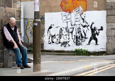 Ein neues Stück Street Art des Rebellen Bären ist an einer Wand in Leith, Edinburgh, erschienen, als Schottland in Phase eins des Plans der schottischen Regierung, die Sperre schrittweise zu heben, übergeht. Stockfoto
