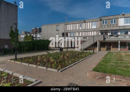 Kürzlich gepflanzte Regengärten auf dem Thamesmead Estate, London, im Jahr 2020 installiert Stockfoto