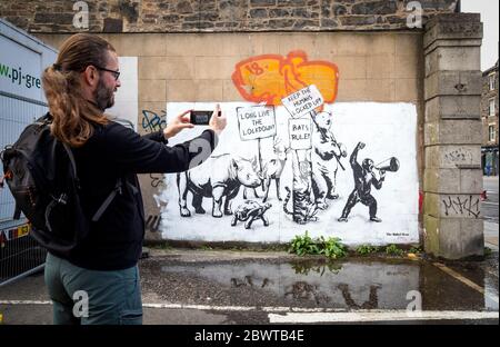 Ein neues Stück Street Art des Rebellen Bären ist an einer Wand in Leith, Edinburgh, erschienen, als Schottland in Phase eins des Plans der schottischen Regierung, die Sperre schrittweise zu heben, übergeht. Stockfoto