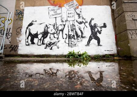 Ein neues Stück Street Art des Rebellen Bären ist an einer Wand in Leith, Edinburgh, erschienen, als Schottland in Phase eins des Plans der schottischen Regierung, die Sperre schrittweise zu heben, übergeht. Stockfoto