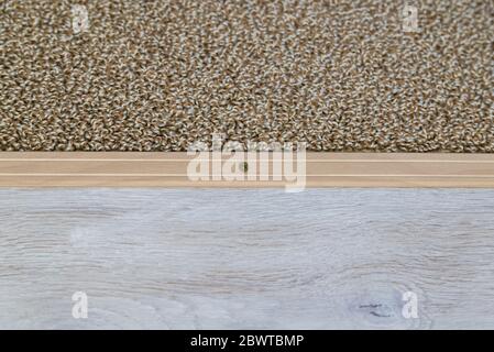 Die Schwelle der Verbindung der Bodenbeläge aus Laminat und Teppich. Stockfoto