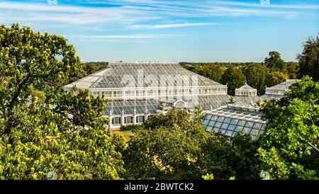 Gemäßigtes Gewächshaus in Kew Botanin Gardens in London Stockfoto