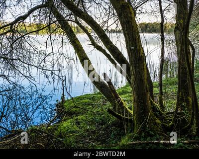 Ein sonniger Frühlingsmorgen im Coate Water in Swindon. Stockfoto