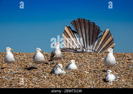 Sieben Möwen sitzen auf einem Kiesstrand in Aldeburgh Suffolk mit der Maggi Hambling-Jakobsmuschel im Hintergrund mit weicher Schärfe vor hellem blauen Himmel Stockfoto