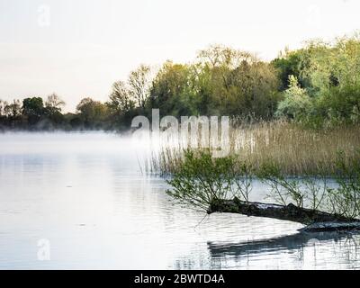 Ein nebliger Frühlingsmorgen im Coate Water in Swindon. Stockfoto