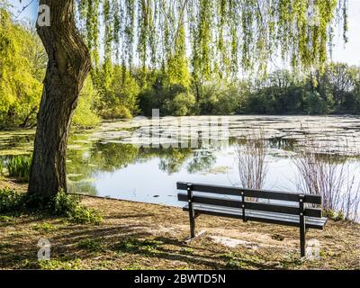 Morgensonne über einem kleinen See in Swindon, Wiltshire. Stockfoto