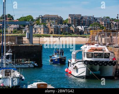 Fischerboot in den Hafen, North Berwick, East Lothian, Schottland, Großbritannien Stockfoto