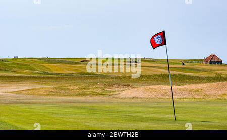 Kilspindie Golfplatz 18. Loch Putting Green mit Flaggennadel, East Lothian, Schottland, Großbritannien Stockfoto