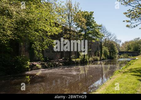 In Großbritannien - eine der Mühlen, die in den vergangenen Jahren am Kanal gewartet wurde. Blick vom Schlepppfad der Leeds zum Liverpool Kanal Stockfoto