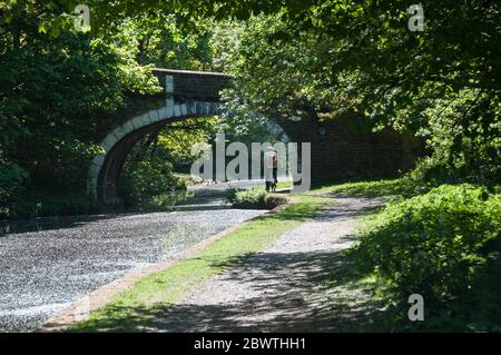 Rund um Großbritannien - Radfahren entlang des Kanals. Blick vom Schlepppfad der Leeds zum Liverpool Kanal Stockfoto