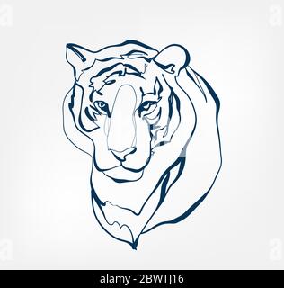 tiger Vektor Tier wild eine Linie Stock Vektor