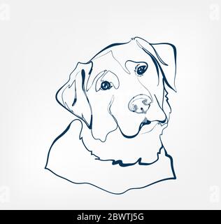 Hund Vektor Tier wild eine Linie Stock Vektor