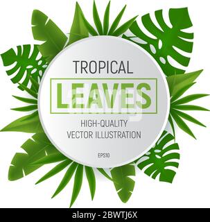 Tropische Blätter runder Rahmen mit grünen Palmenblättern. Vektorgrafik isoliert auf weißem Hintergrund Stock Vektor