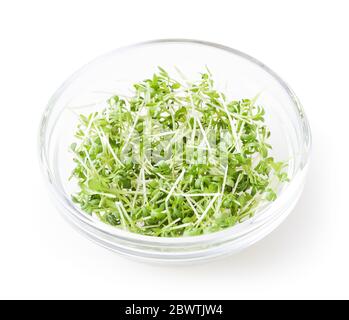 Micro Greens Garten Kresse Sprossen in Glas Schüssel isoliert auf weißem Hintergrund mit Clipping-Pfad Stockfoto