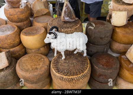 Verschiedene traditionelle italienische Käse auf einem Marktstand Stockfoto