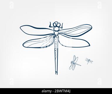 dragonfly Insekt Vektor Kunst Linie isoliert Doodle Stock Vektor