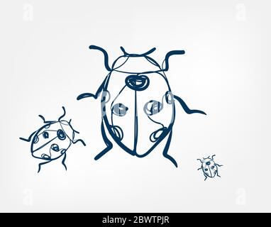 marienkäfer Insekt Vektor Kunst Linie isoliert Doodle Stock Vektor