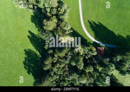 Deutschland, Bayern, Drohne Blick auf die Landschaft Schotterstraße entlang grünen Hain Stockfoto