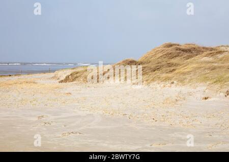 Deutschland, Schleswig-Holstein, Sankt Peter-Ording, grasbewachsene Sanddünen im Nationalpark Wattenmeer Stockfoto