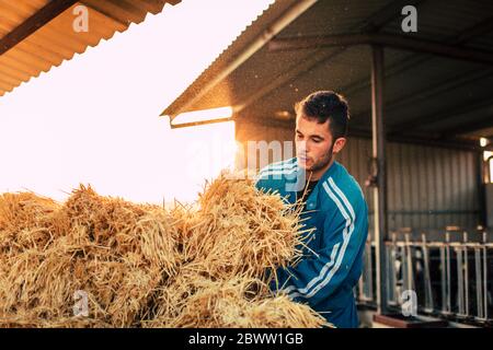 Junger Bauer trägt blauen Overall, während Stroh auf seiner Farm Stockfoto