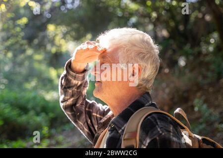 Profil des älteren Mannes, der im Wald wandert und seine Augen abschirmt Stockfoto