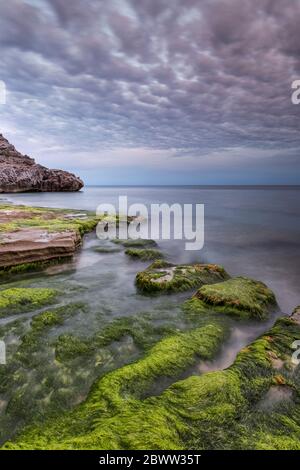 Italien Ligurien Varigotti - kleine Bucht entlang des Malpasso Stockfoto