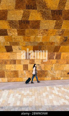 Junge Geschäftsfrau mit Trolley-Tasche vor der Steinmauer Stockfoto