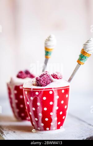 Tasse hausgemachtes Eis mit Himbeeren Stockfoto