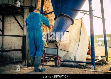 Junger Bauer trägt blauen Gesamtlader aus einem Silo in Schubkarre Stockfoto