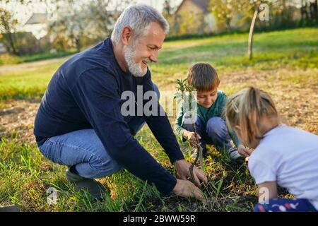 Lächelnder reifer Mann, der Baum mit Enkeln im Garten pflanzt Stockfoto