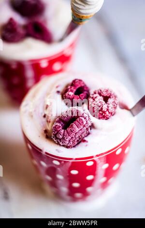 Tasse hausgemachtes Eis mit Himbeeren Stockfoto