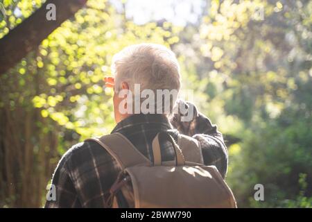 Rückansicht des älteren Mannes bei der Wanderung im Wald mit Hintergrundbeleuchtung Stockfoto