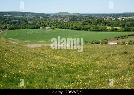 Blick Richtung Cley Hill vom Scratchbury Camp, Hill Fort, Wiltshire, England, Großbritannien Stockfoto
