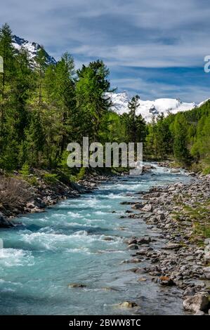 Wildbach im naturbelassenen Val Roseg, Engadin Stockfoto