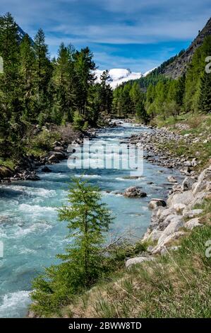 Wildbach im naturbelassenen Val Roseg, Engadin Stockfoto