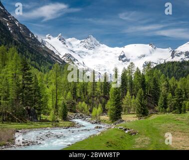 Wildbach Ova da Roseg im naturbelassenen Val Roseg, Engadin Stockfoto