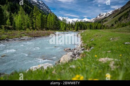 Wildbach Ova da Roseg im naturbelassenen Val Roseg, Engadin Stockfoto