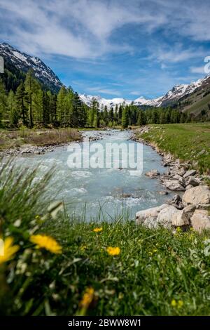 Wildbach Ova da Roseg im naturbelassenen Val Roseg, Engadin Stockfoto